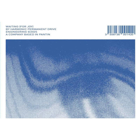 HARMONIC PERMANENT DRIVE Waiting For Joy