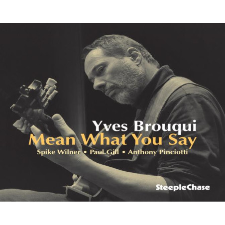 Yves Brouqui Mean What You Say