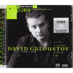 David Galoustov Violon virtuose