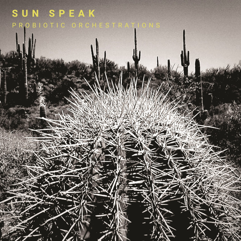 Sun Speak Probiotic Orchestrations