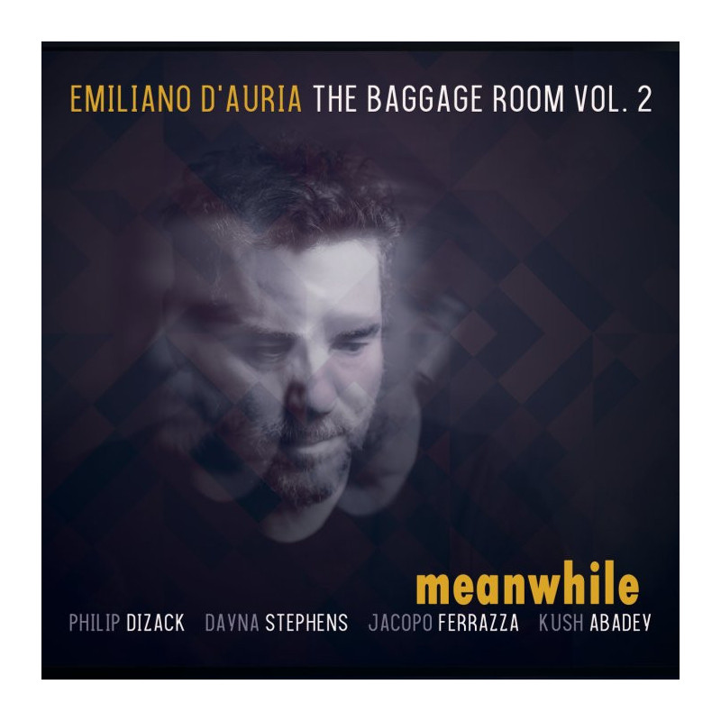 Emiliano d’Auria The baggage Room, vol.2 - Meanwhile (vinyle)