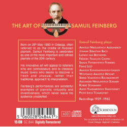 'Lart de Samuel Feinberg