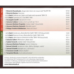 Abend Music Lebensmusik