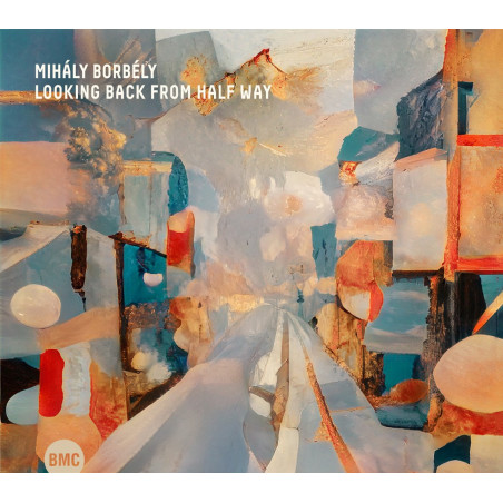 Mihály Borbély  Looking back from Half Way