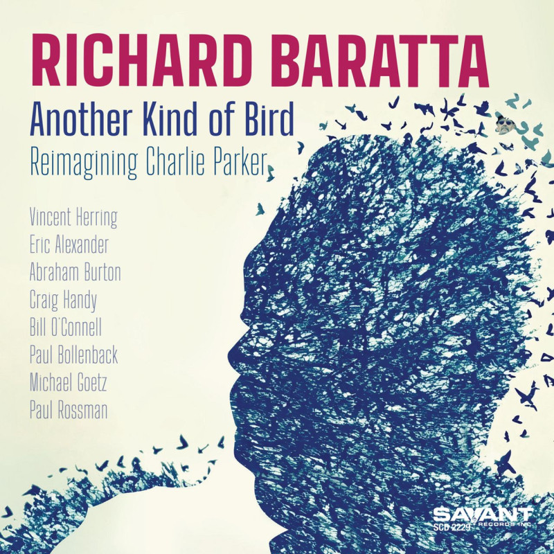 Richard Baratta Another Kind of Bird