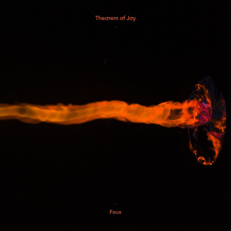 Theorem of Joy Feux (vinyle)