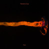 Theorem of Joy Feux (vinyle)