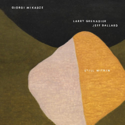 Giorgi Mikadze Still Within