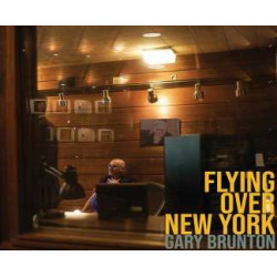 GARY BRUNTON Flying Over New York