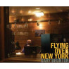 GARY BRUNTON Flying Over New York